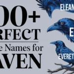 Perfect Middle Names for Raven